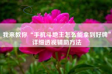 我来教你“手机斗地主怎么能拿到好牌	”详细透视辅助方法
