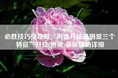 必胜技巧全攻略“闲逸开挂最明显三个特征	”开挂(透视)最新辅助详细