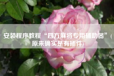 安装程序教程“四方麻将专用辅助器”(原来确实是有插件)