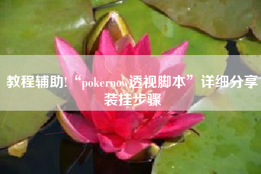 教程辅助!“pokernow透视脚本”详细分享装挂步骤