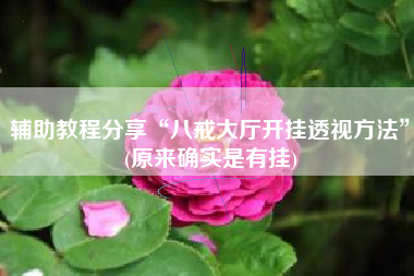 辅助教程分享“八戒大厅开挂透视方法	”(原来确实是有挂)