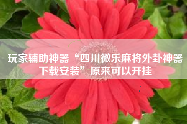 玩家辅助神器“四川微乐麻将外卦神器下载安装”原来可以开挂