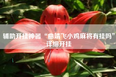 辅助开挂神器“曲靖飞小鸡麻将有挂吗”详细开挂