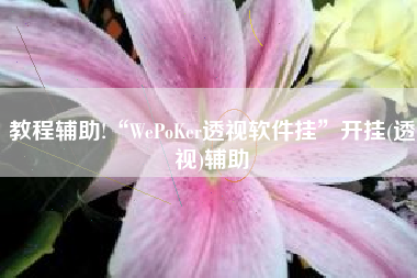 教程辅助!“WePoKer透视软件挂”开挂(透视)辅助