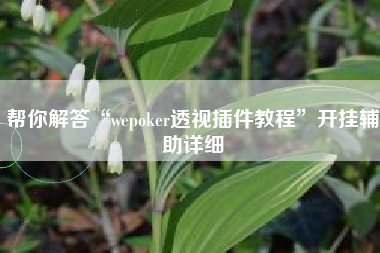 帮你解答“wepoker透视插件教程”开挂辅助详细
