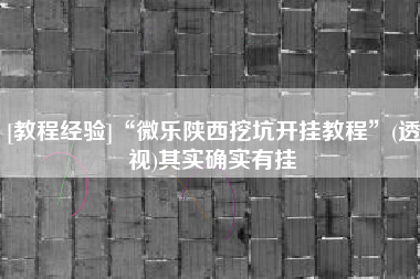 [教程经验]“微乐陕西挖坑开挂教程	”(透视)其实确实有挂