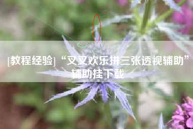 [教程经验]“叉叉欢乐拼三张透视辅助”辅助挂下载