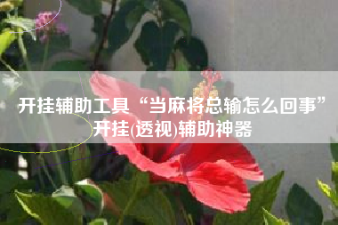 开挂辅助工具“当麻将总输怎么回事”开挂(透视)辅助神器