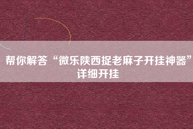 帮你解答“微乐陕西捉老麻子开挂神器”详细开挂