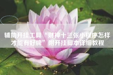 辅助开挂工具“财神十三张小程序怎样才能有好牌”附开挂脚本详细教程