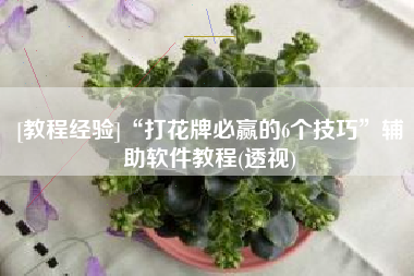 [教程经验]“打花牌必赢的6个技巧	”辅助软件教程(透视)