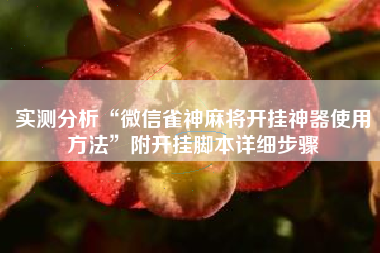 实测分析“微信雀神麻将开挂神器使用方法”附开挂脚本详细步骤