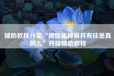 辅助教程分享“微信雀神麻将有挂是真的么”开挂辅助教程