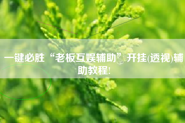 一键必胜“老板互娱辅助”开挂(透视)辅助教程!