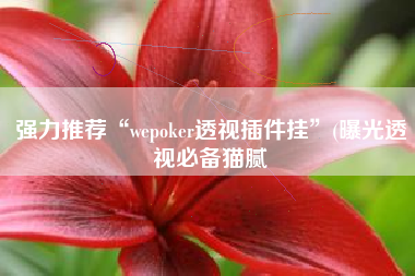 强力推荐“wepoker透视插件挂”(曝光透视必备猫腻
