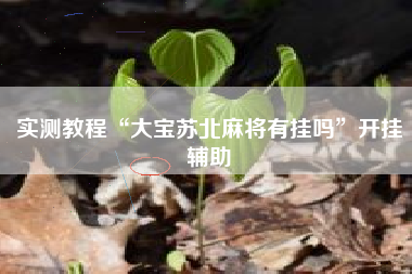 实测教程“大宝苏北麻将有挂吗”开挂辅助