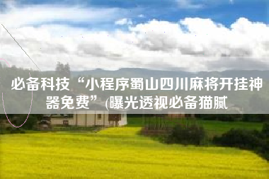 必备科技“小程序蜀山四川麻将开挂神器免费”(曝光透视必备猫腻