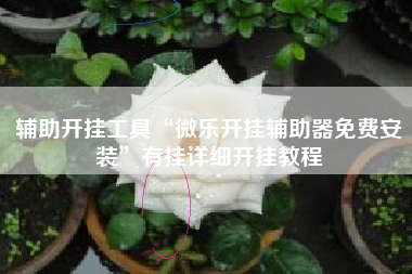 辅助开挂工具“微乐开挂辅助器免费安装”有挂详细开挂教程