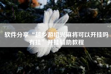 软件分享“越乡游绍兴麻将可以开挂吗有挂”开挂辅助教程