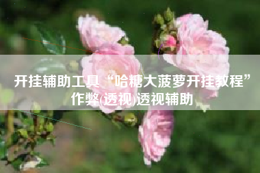 开挂辅助工具“哈糖大菠萝开挂教程”作弊(透视)透视辅助