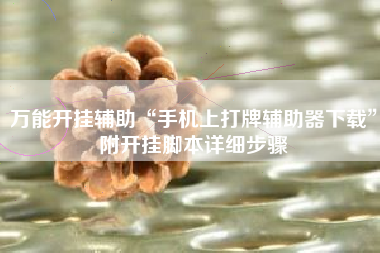 万能开挂辅助“手机上打牌辅助器下载”附开挂脚本详细步骤