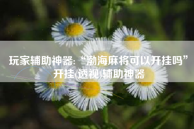 玩家辅助神器:“渤海麻将可以开挂吗”开挂(透视)辅助神器