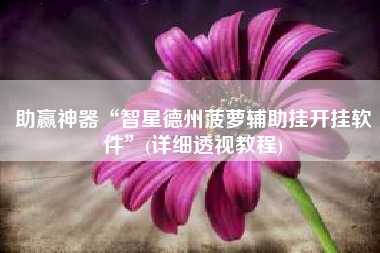 助赢神器“智星德州菠萝辅助挂开挂软件”(详细透视教程)