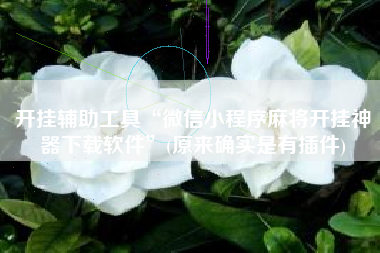 开挂辅助工具“微信小程序麻将开挂神器下载软件”(原来确实是有插件)