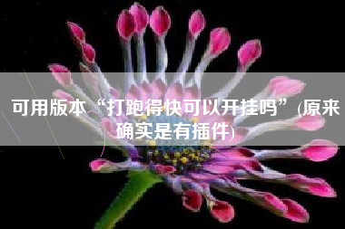 可用版本“打跑得快可以开挂吗”(原来确实是有插件)