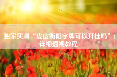 独家实测“皮皮衡阳字牌可以开挂吗”(详细透视教程)