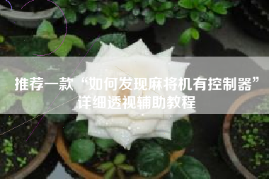 推荐一款“如何发现麻将机有控制器”详细透视辅助教程