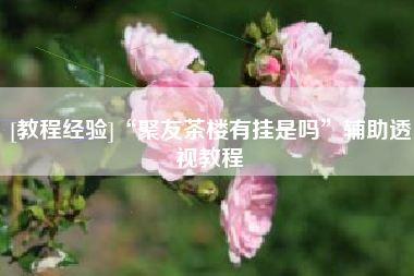 [教程经验]“聚友茶楼有挂是吗”辅助透视教程