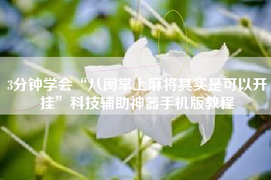 3分钟学会“八闽掌上麻将其实是可以开挂”科技辅助神器手机版教程