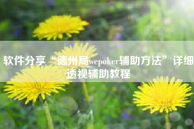 软件分享“德州局wepoker辅助方法”详细透视辅助教程