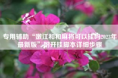 专用辅助“嫩江和和麻将可以挂吗2023年最新版	”附开挂脚本详细步骤