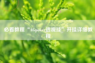 必看教程“AGpoker透视挂	”开挂详细教程