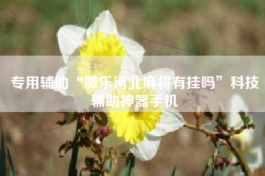 专用辅助“微乐河北麻将有挂吗”科技辅助神器手机