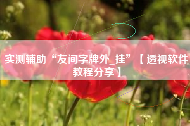 实测辅助“友间字牌外_挂	”【透视软件教程分享】