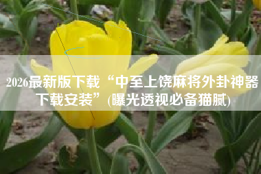 2026最新版下载“中至上饶麻将外卦神器下载安装	”(曝光透视必备猫腻)