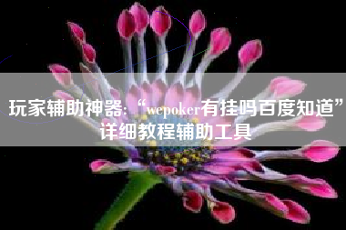 玩家辅助神器:“wepoker有挂吗百度知道”详细教程辅助工具