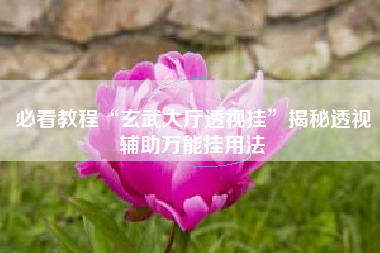 必看教程“玄武大厅透视挂	”揭秘透视辅助万能挂用法