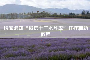 玩家必知“微信十三水胜率	”开挂辅助教程