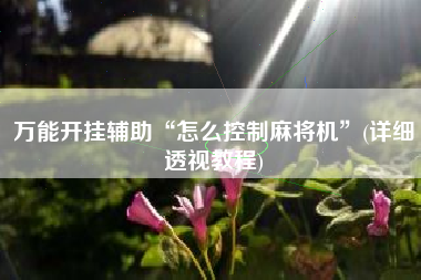 万能开挂辅助“怎么控制麻将机”(详细透视教程)