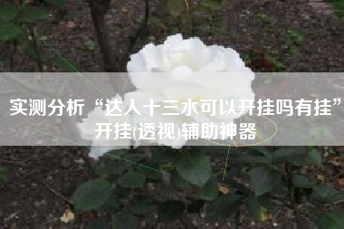 实测分析“达人十三水可以开挂吗有挂”开挂(透视)辅助神器