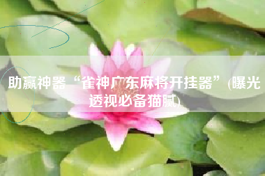 助赢神器“雀神广东麻将开挂器”(曝光透视必备猫腻)