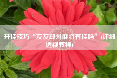 开挂技巧“友友邳州麻将有挂吗”(详细透视教程)