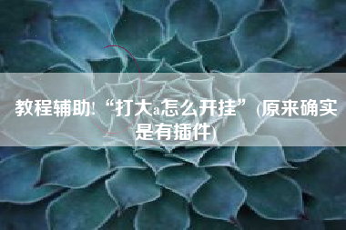 教程辅助!“打大a怎么开挂”(原来确实是有插件)