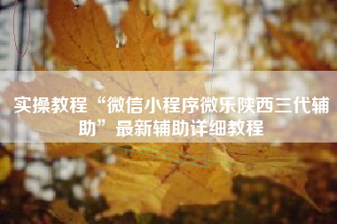 实操教程“微信小程序微乐陕西三代辅助”最新辅助详细教程
