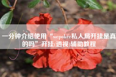 一分钟介绍使用“wepoker私人局开挂是真的吗”开挂(透视)辅助教程