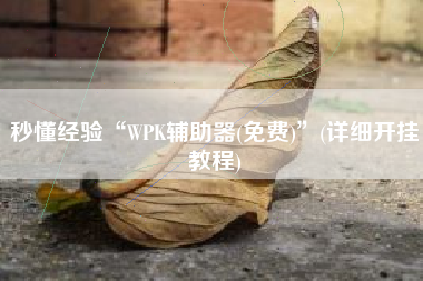 秒懂经验“WPK辅助器(免费)”(详细开挂教程)